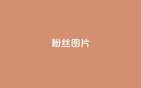 粉丝图片,卡盟qq会员 - 拼多多砍价软件代砍平台 拼多多砍价有多少层 第1张 粉丝图片,卡盟qq会员 - 拼多多砍价软件代砍平台 拼多多砍价有多少层 第1张