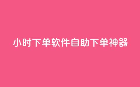 dy24小时下单软件——自助下单神器 第1张